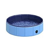 Piscina per cani