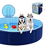 Piscina per cani