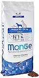 Monge Senior