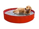 Piscina per cani