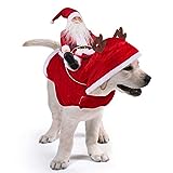 Vestito di Natale per cani