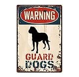 Poster Vintage