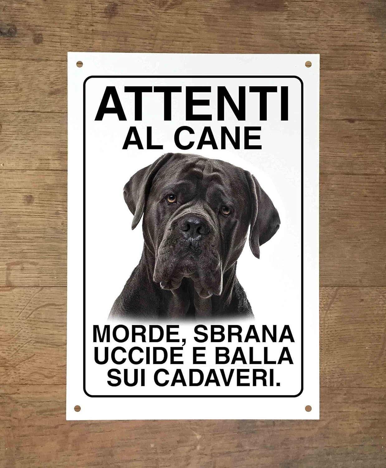 dogumentarist.com