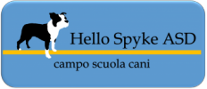 pensione per cani roma