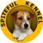 pensione per cani roma